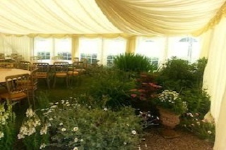 Our Party Marquee 12